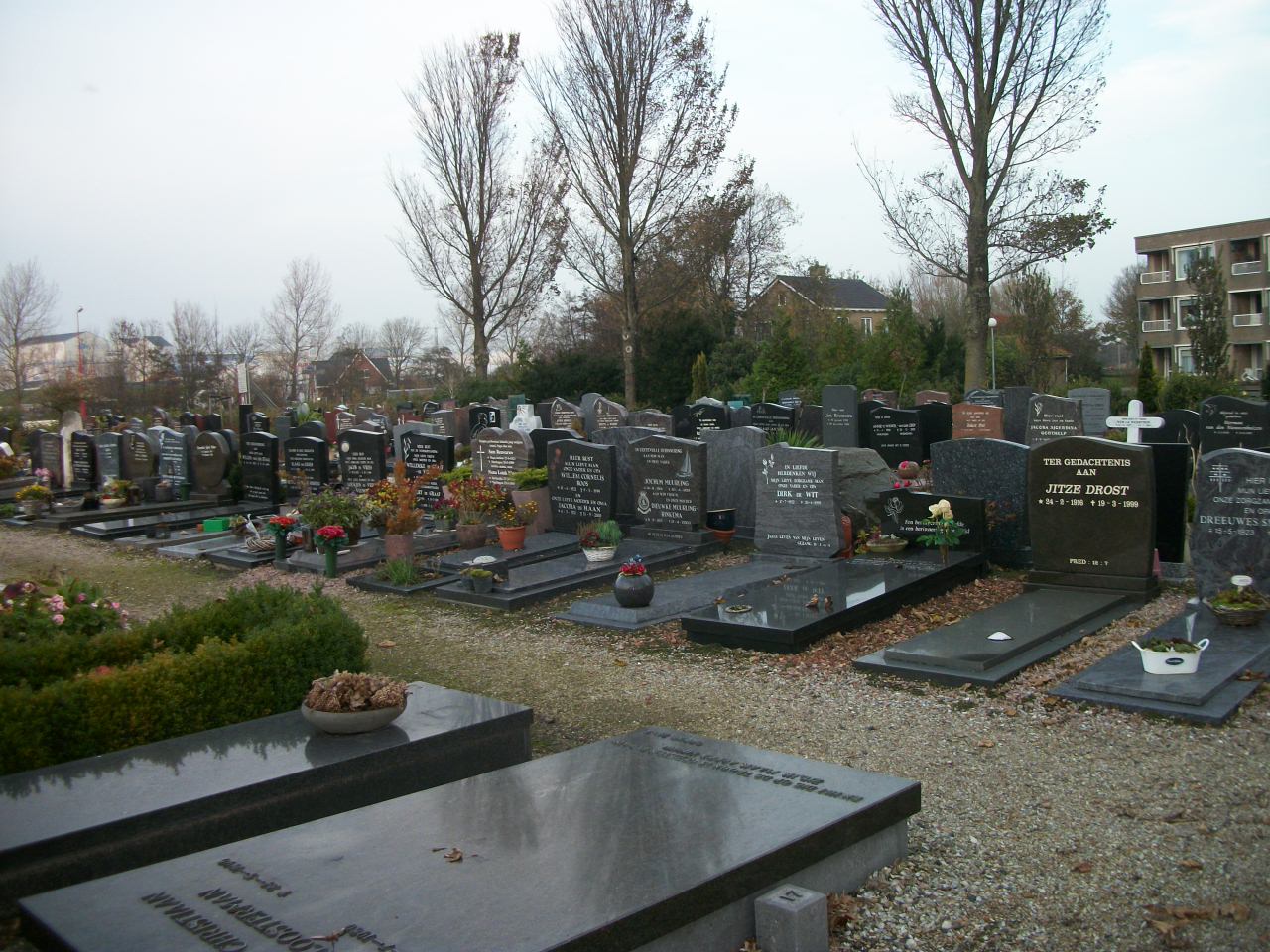 1.11.2011 cmentarz w Harlingenie - 100_2276.JPG