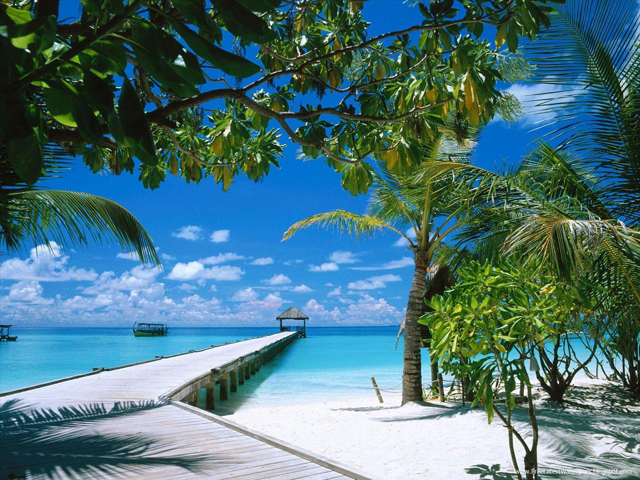 Seas, rivers, lakes  other - Ari Atoll, Maldives.jpg