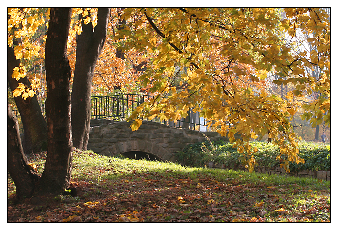 foto - jesienny krajobraz 14.jpg