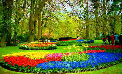 Bajeczne ogrody Keukenhof - Lisse- Holandia - 15.jpg