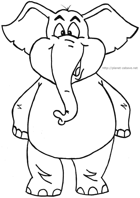 Słonie - slon.gif