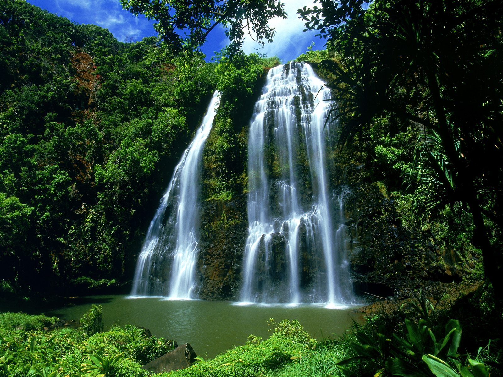 Galeria - Opaekaa Falls, Kauai, Hawaii.jpg