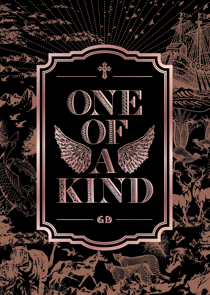 2011 - One Of A Kind - Cover.jpg