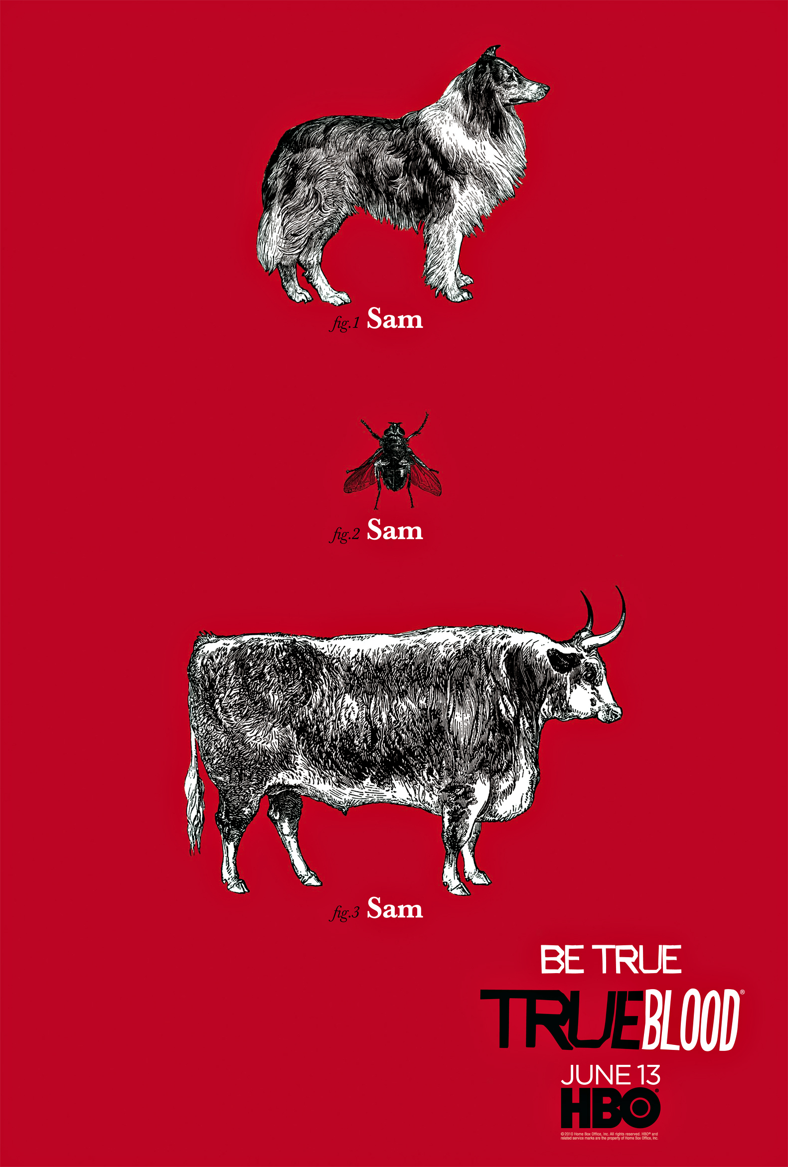 CAST - True-Blood-Season-3-Poster-Be-True-HQ-true-blood-11507592-1581-2342.jpg