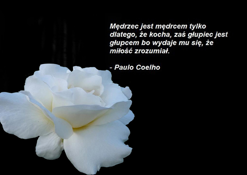 Galeria - Aforyzy,Sentencje - Paulo Coelho.jpg