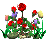 KWIATY PNG - lalele-trandafiri-imagine-animata-gif-clr.gif