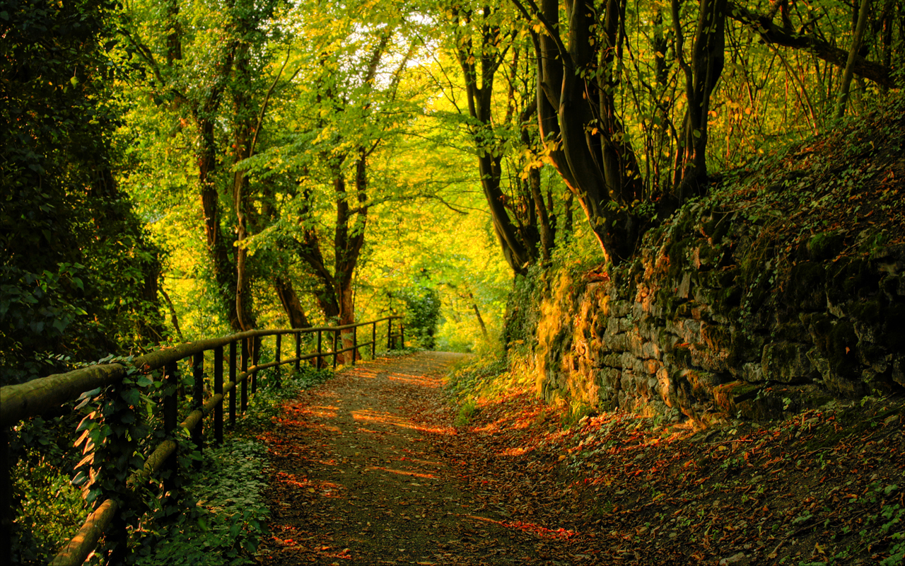 przyroda - Autumn_Wallpaper_by_emats.jpg