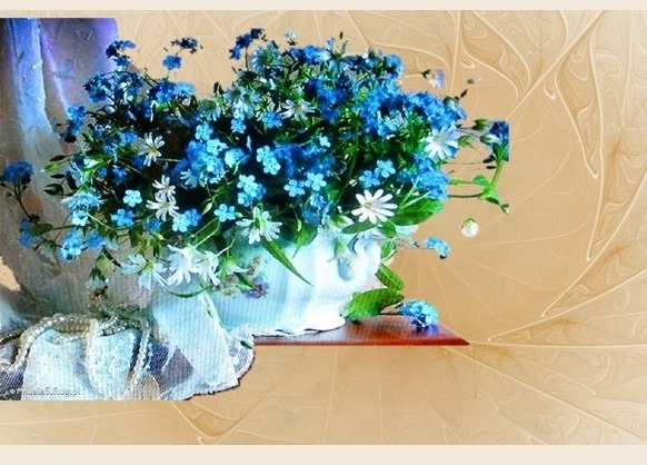 Galeria bukietów kwiatowych - Niezapominajki.jpg