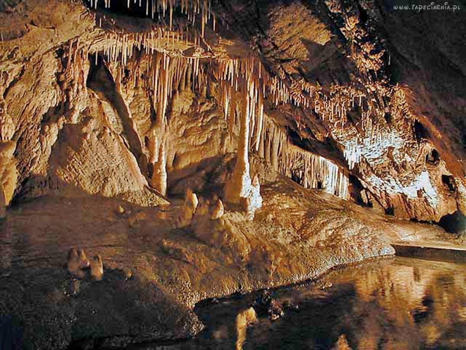 tapety-  jaskinie - 86940_snieznik_jaskinia_niedzwiedzia.jpg
