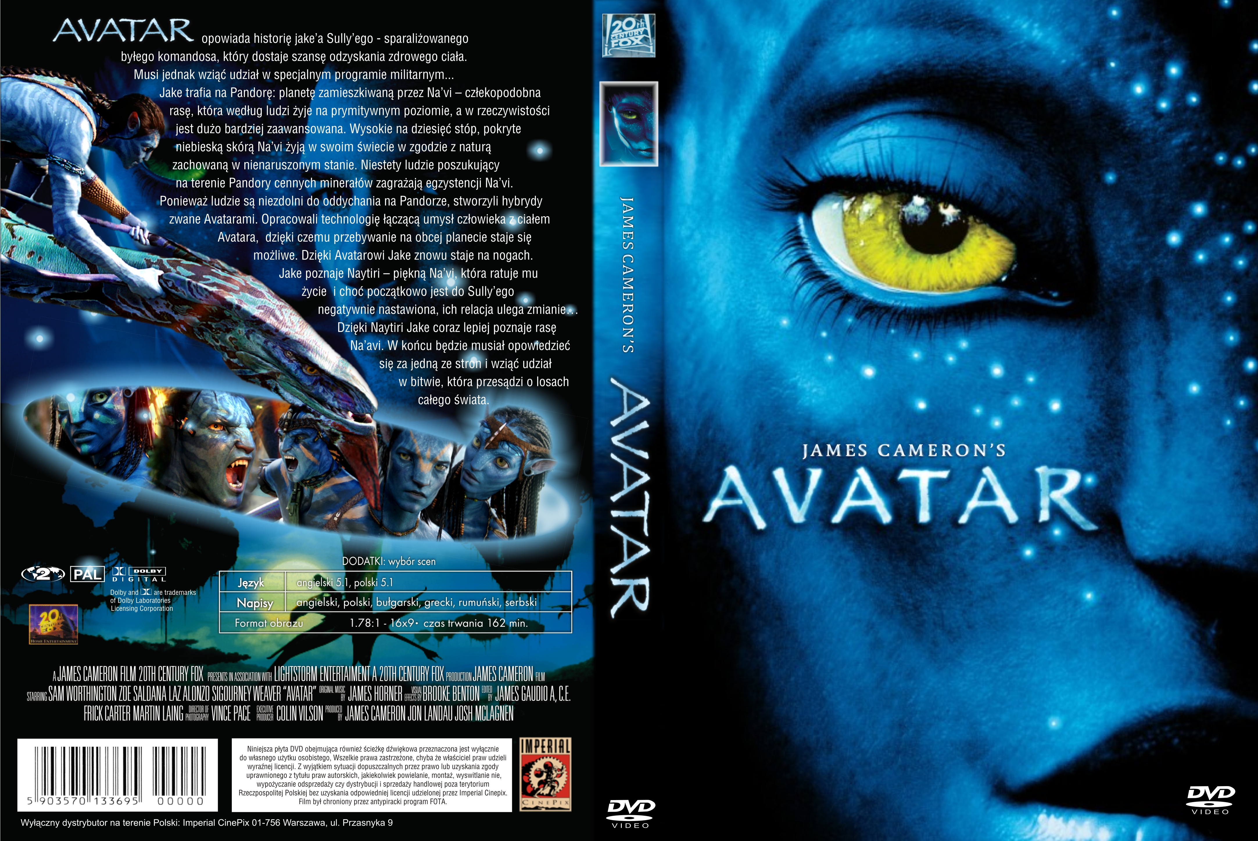 Filmy - Avatar DVD PL.jpg