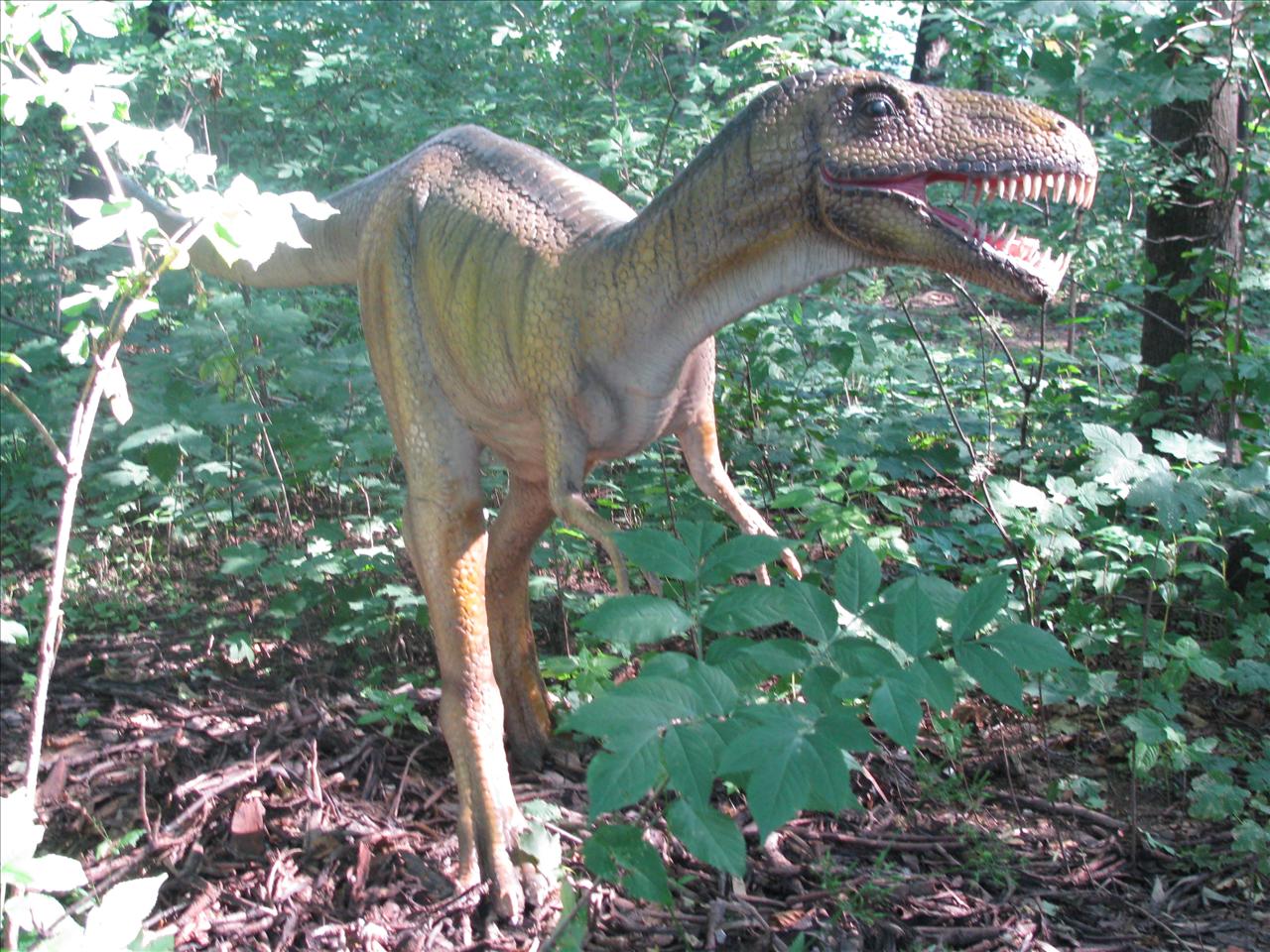 DinoZatorLand - IMG_0014.JPG