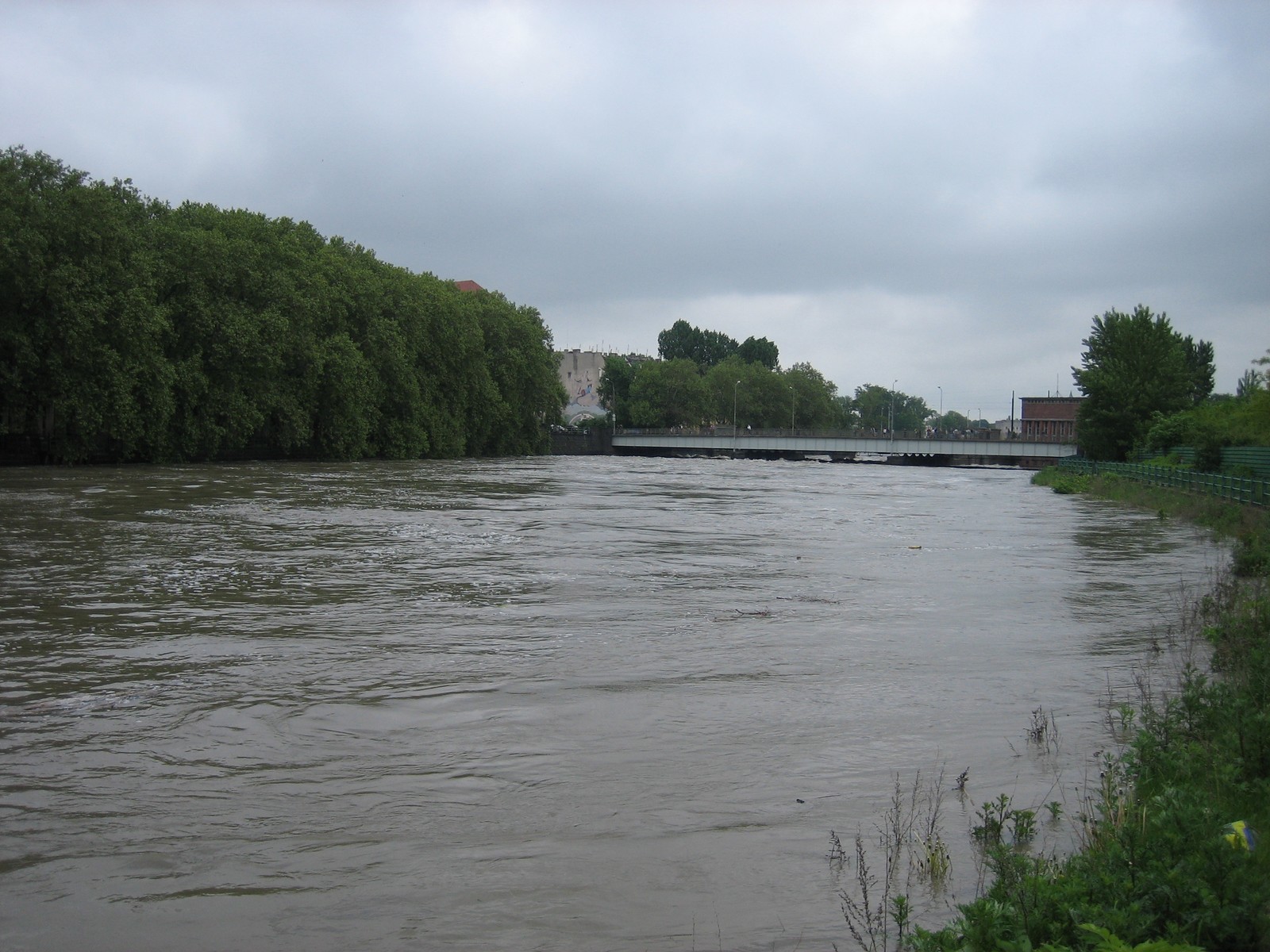 powódź-wrocław 2010r ul księcia witolda - IMG_4008.JPG