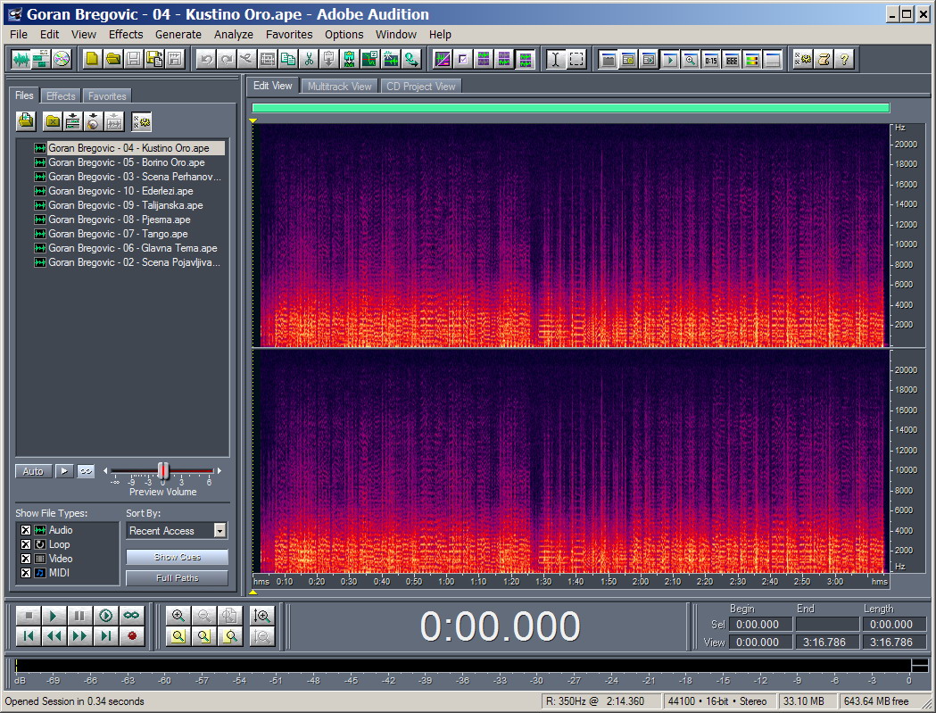 Adobe Audition Spectrum - Track 04.jpg