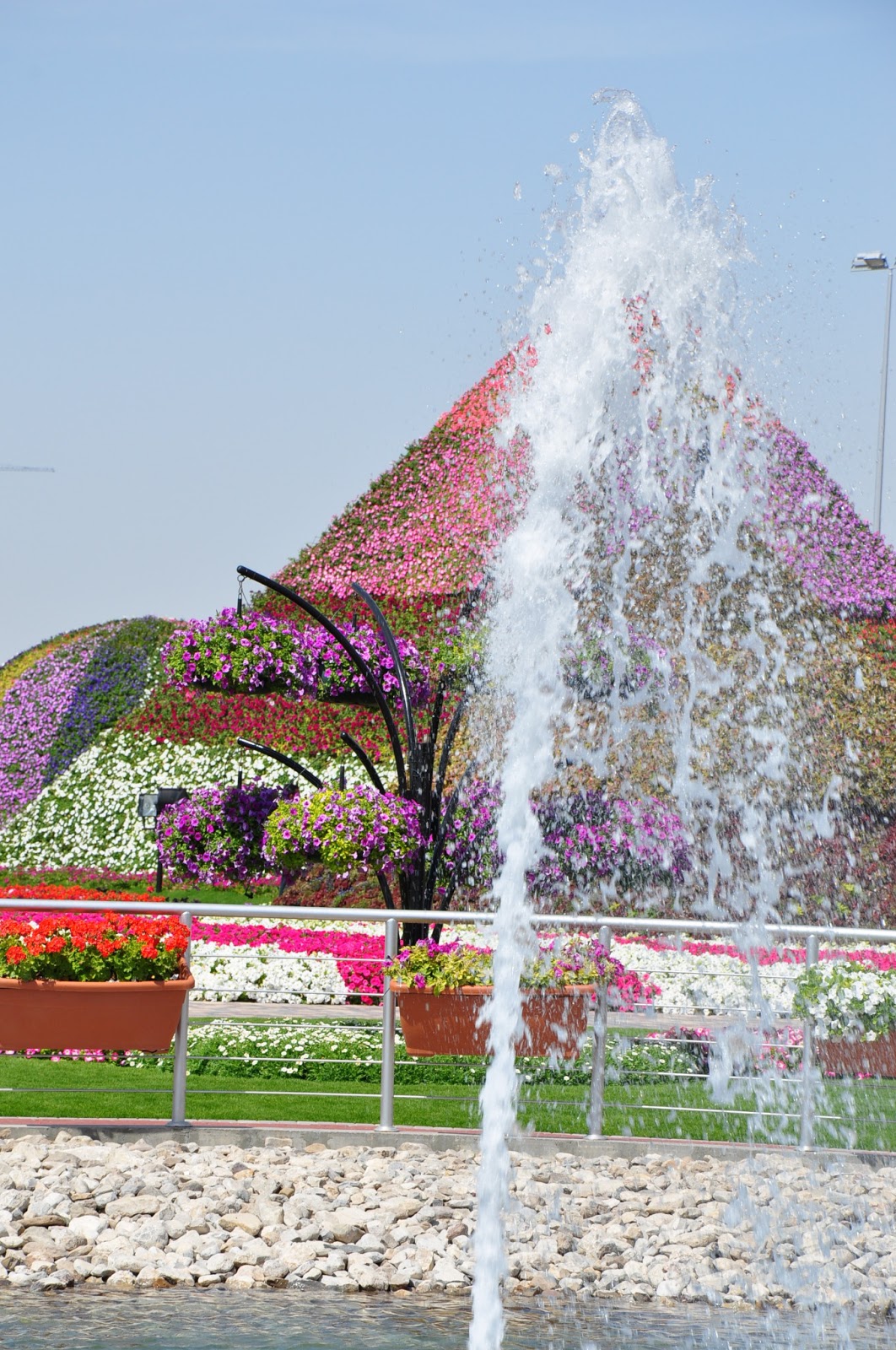 Piękny ogród kwiatowy Al Ain - 221.jpg