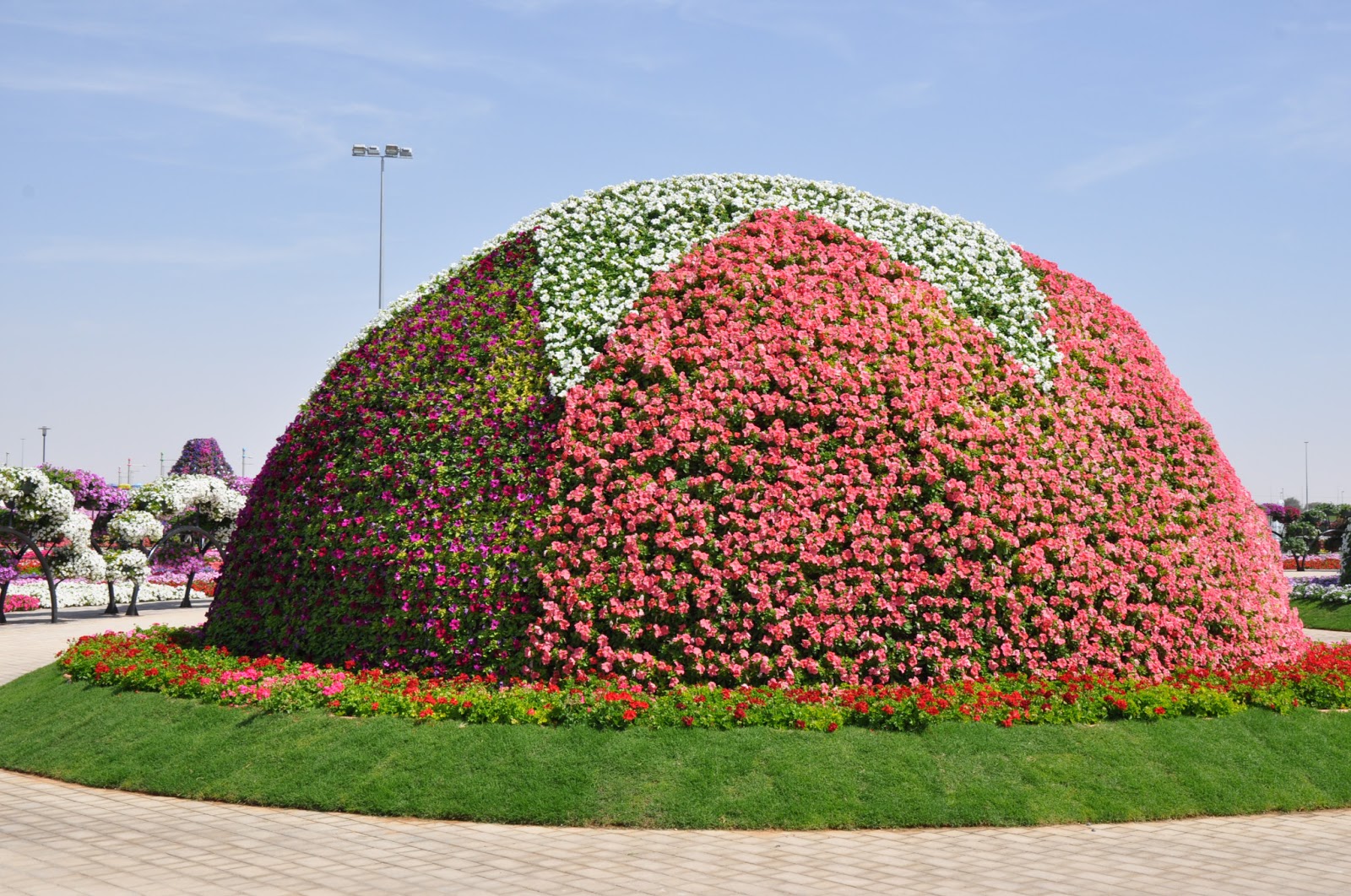 Piękny ogród kwiatowy Al Ain - 181.jpg