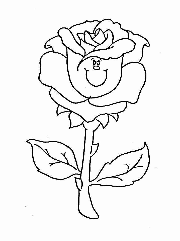 kwiaty - róża.jpg