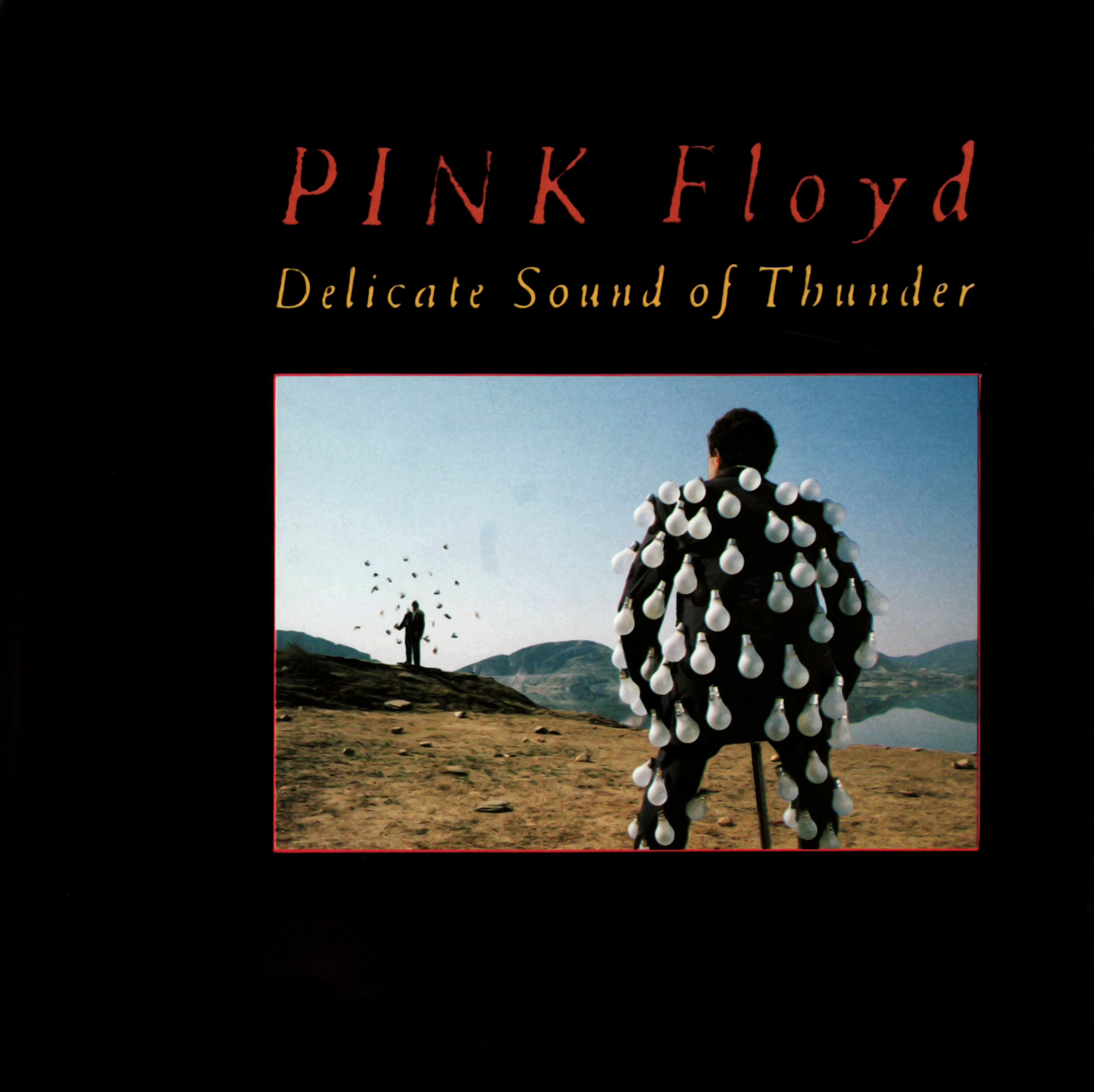 Pink Floyd - Delicate Sound Of Thunder - front.jpg