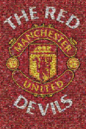bartuso - manchester-united-the-red-devils.jpg