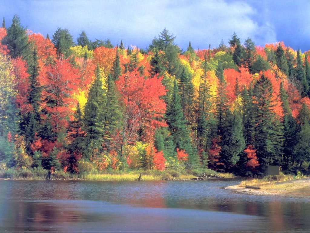 foto - jesienny krajobraz 03.jpg