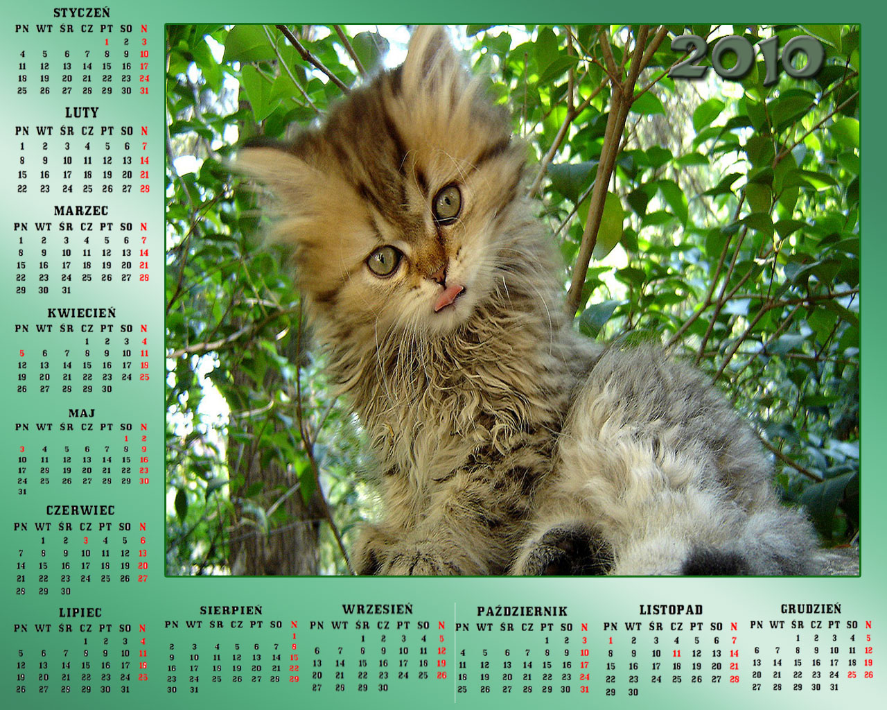 Kalendarze 2010 - anna37_37  MOJEGO WYKONANIA  20.jpg