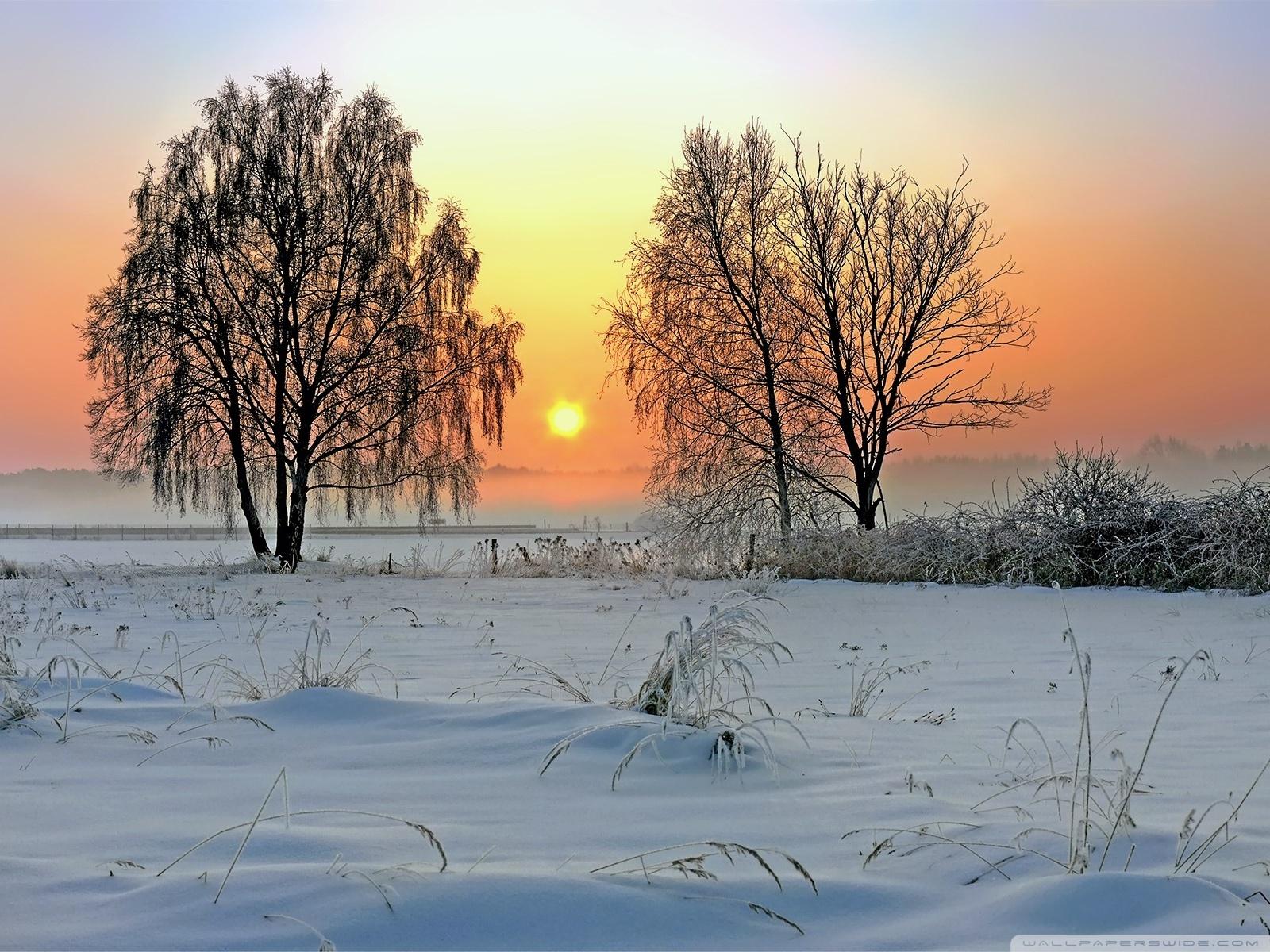 Tapety 11 Mobogenie - Winter Sunrise wallpaper.jpg