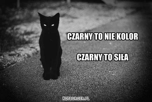 O kotach - black - CZARNY TO NIE KOLORCZARNY TO SIŁA.jpg