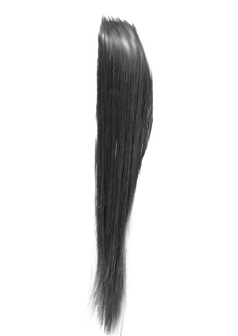 Hair Brushes Obsidian Down - straight1.jpg