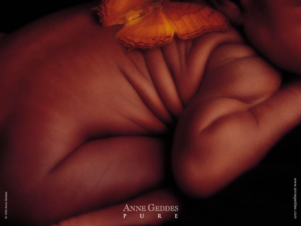   ZDJĘCIA  ANNE GEDDES - wallcoo.com_baby_clothes_baby_pictures_45.jpg