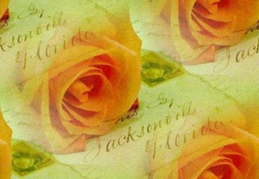 Tła kwiatowe - love-letters-orange-flowers-31000.jpg