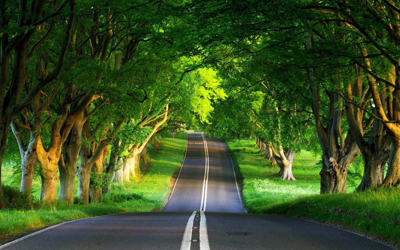 Tapety - green road.jpg