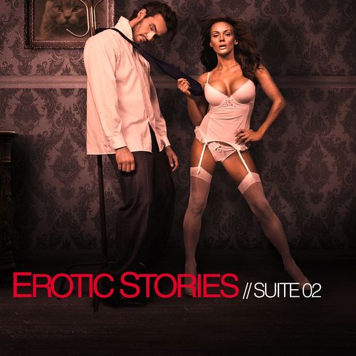 V. A. - Erotic Stories Suite 02, 2013 - cover.jpg