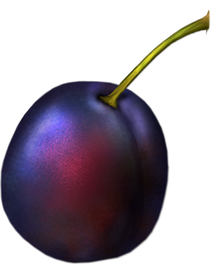 Luscious_Pears_and_Plums - plum4.png