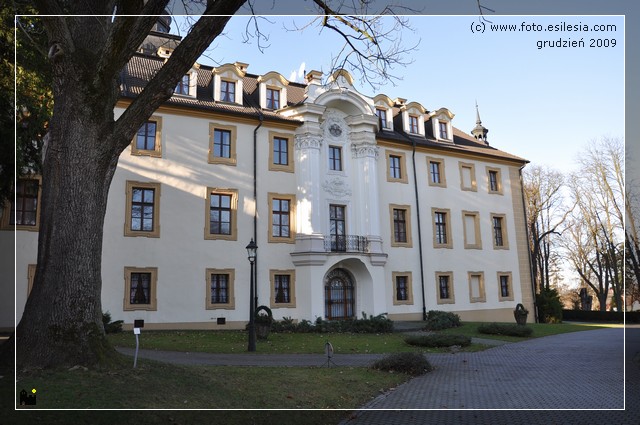 Pałace na ziemi polskiej - kamien slaski_palace.jpg