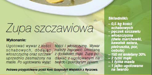 szczaw - Zupa szczawiowa.jpg