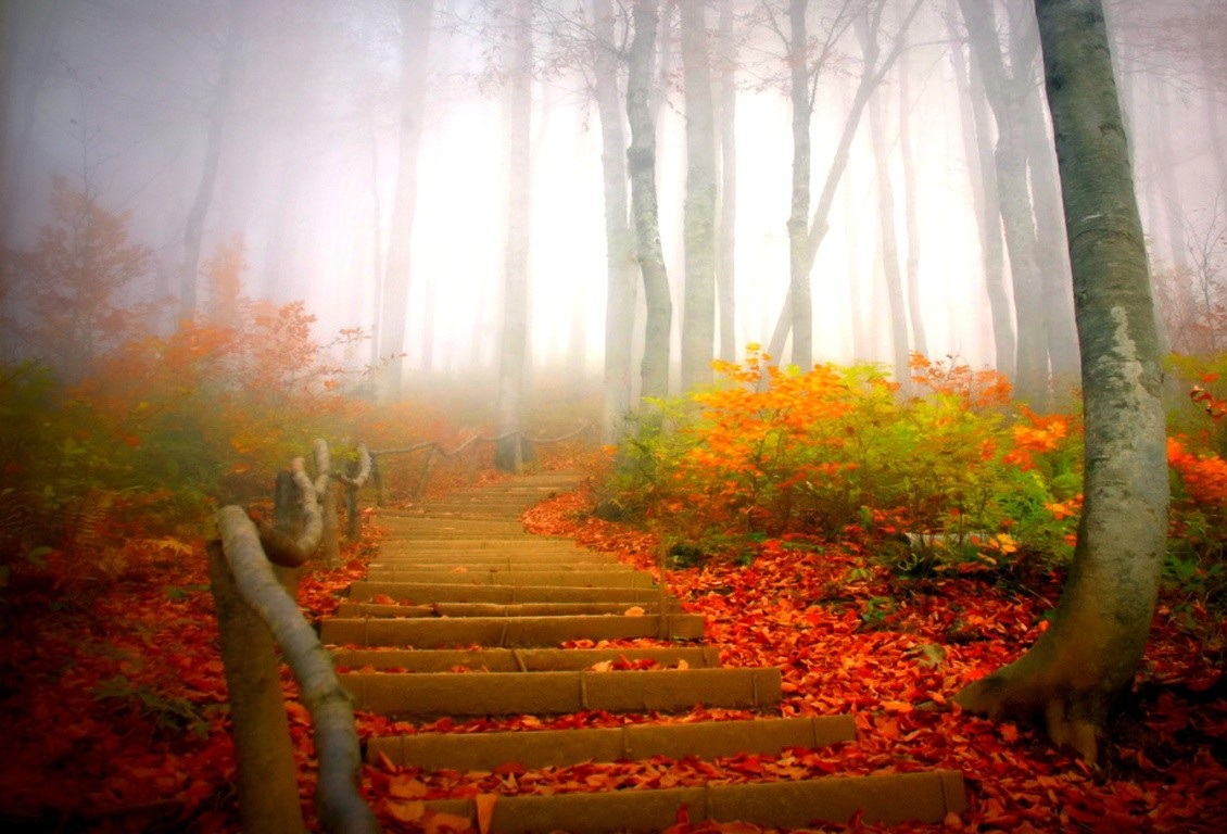 jesień - schody_liscie_drzewa_jesien.jpg
