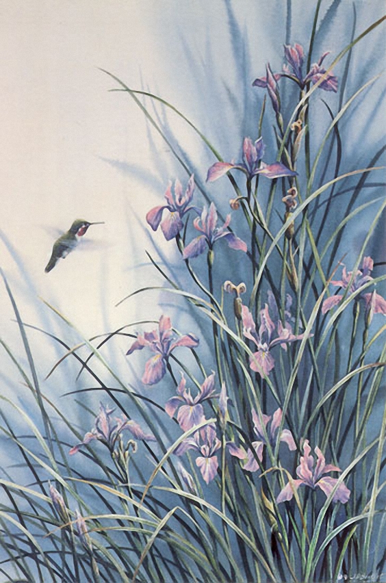 Bourdet Susan - Wild Garden - Hummingbird.jpg