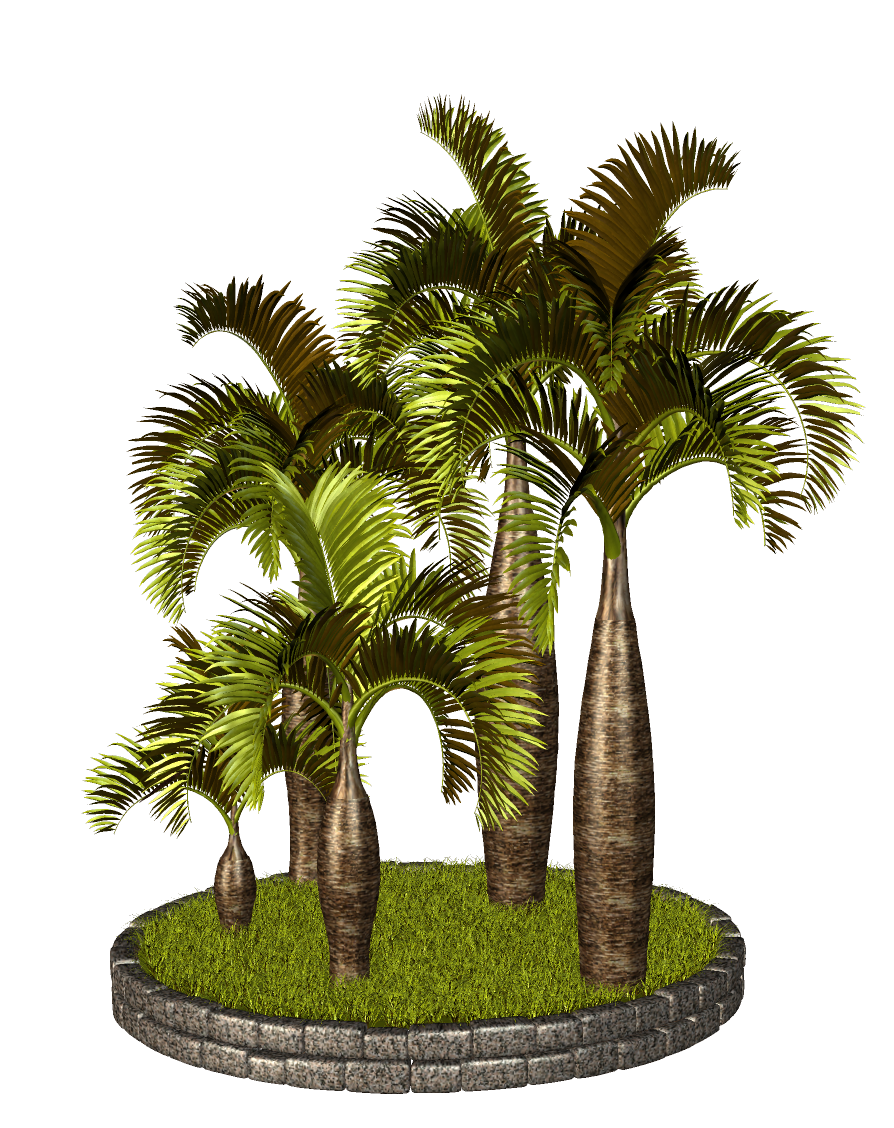 PNG-PALMY 1 - R11 - Palms - 2013 - 033.png