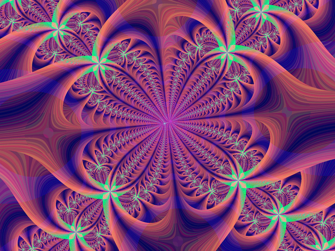 Galeria - fractal-flower.jpg